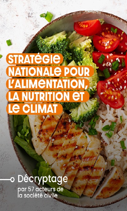 décryptage SNANC 2025